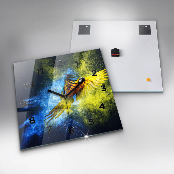 Čtvercové nástěnné hodiny Barevný papoušek