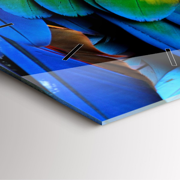 Čtvercové nástěnné hodiny Barevná ptačí křídla