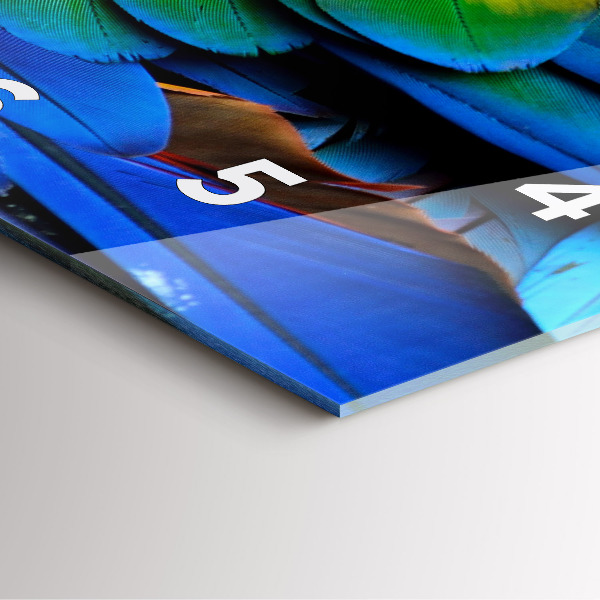 Čtvercové nástěnné hodiny Barevná ptačí křídla