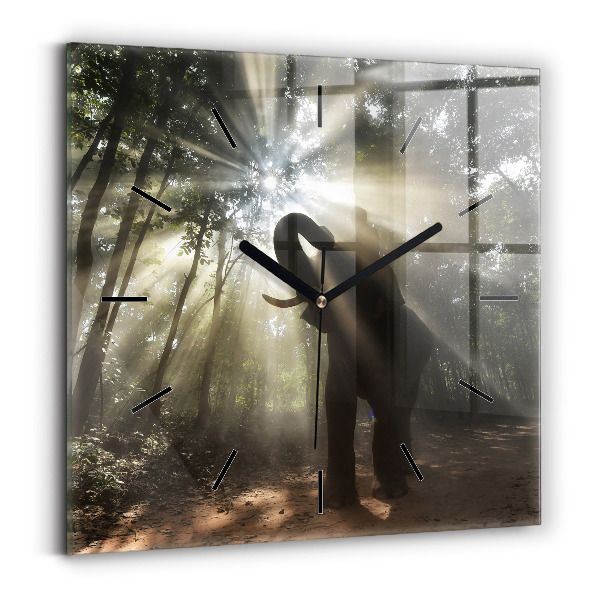 Čtvercové nástěnné hodiny Slon v džungli