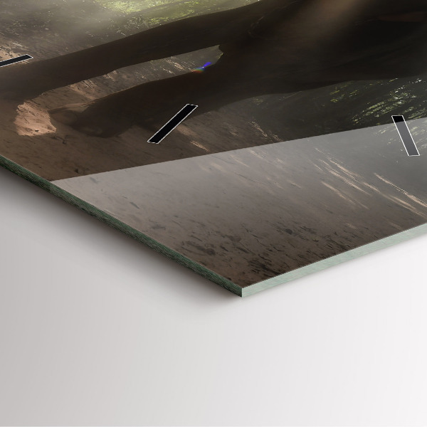 Čtvercové nástěnné hodiny Slon v džungli