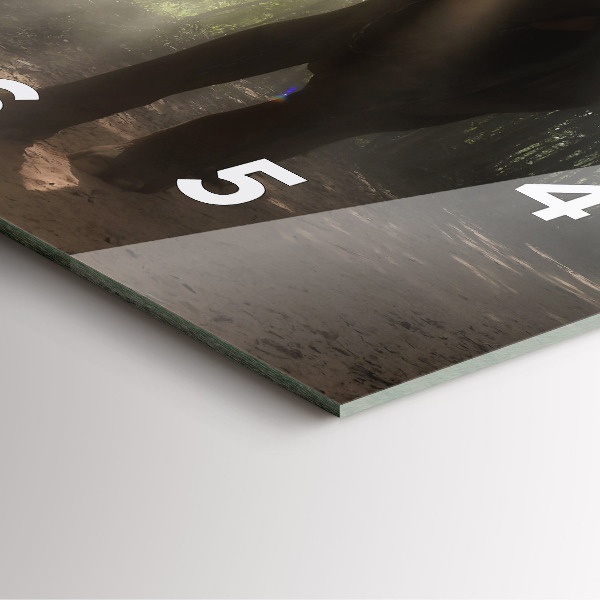 Čtvercové nástěnné hodiny Slon v džungli