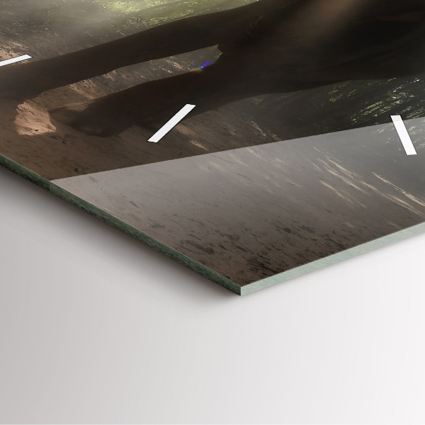 Čtvercové nástěnné hodiny Slon v džungli