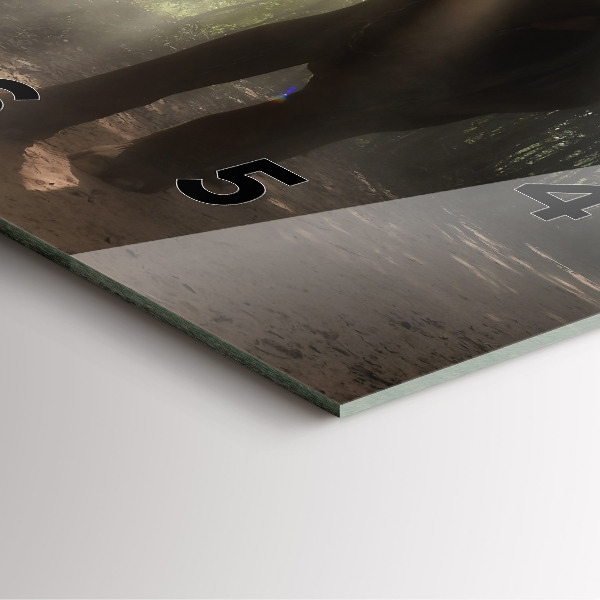 Čtvercové nástěnné hodiny Slon v džungli