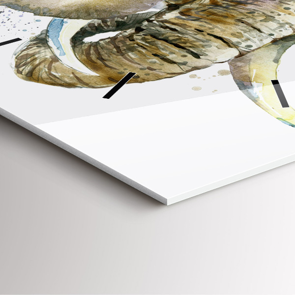 Čtvercové nástěnné hodiny Malovaná zvířata sloni