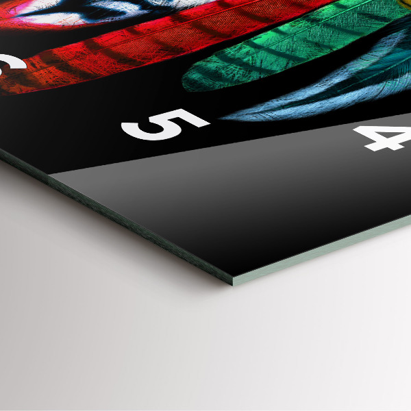 Čtvercové nástěnné hodiny Barevné ptačí peří