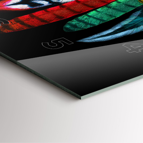 Čtvercové nástěnné hodiny Barevné ptačí peří