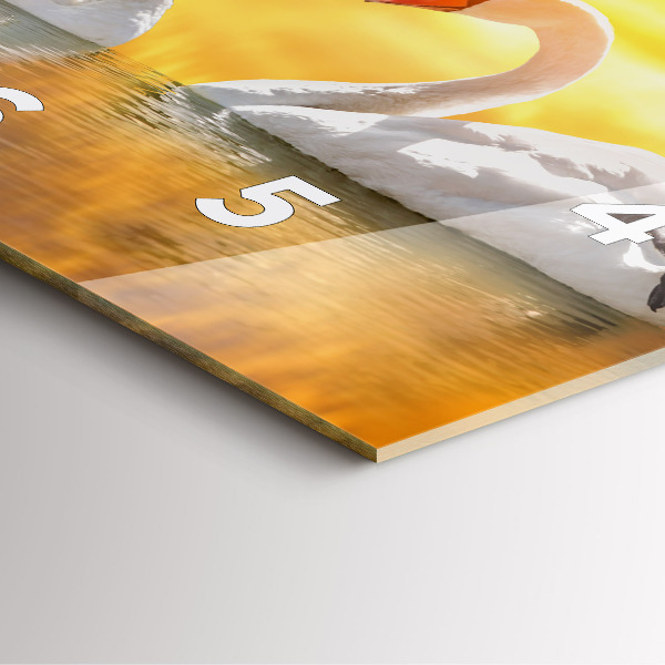 Čtvercové nástěnné hodiny Zamilované labutě