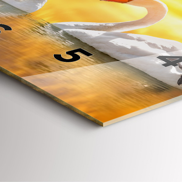 Čtvercové nástěnné hodiny Zamilované labutě