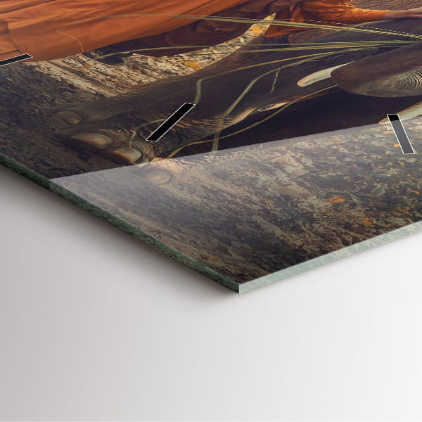 Čtvercové nástěnné hodiny Mnich vedoucí slony