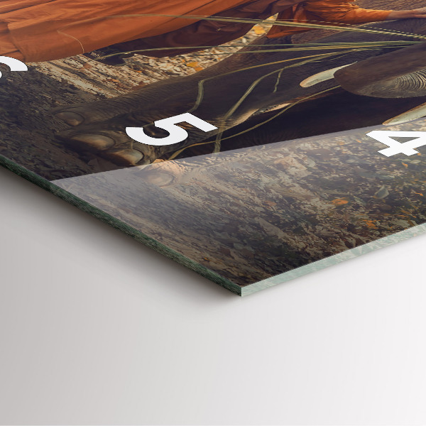 Čtvercové nástěnné hodiny Mnich vedoucí slony