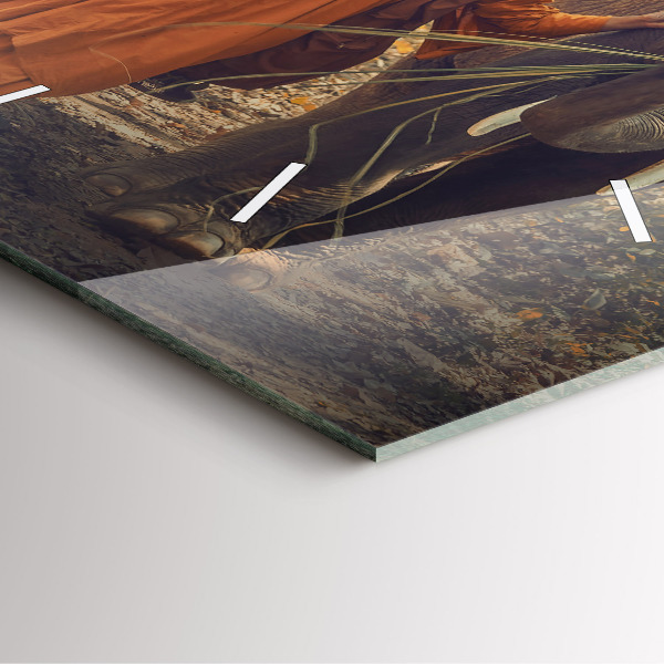 Čtvercové nástěnné hodiny Mnich vedoucí slony