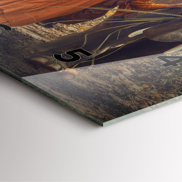 Čtvercové nástěnné hodiny Mnich vedoucí slony