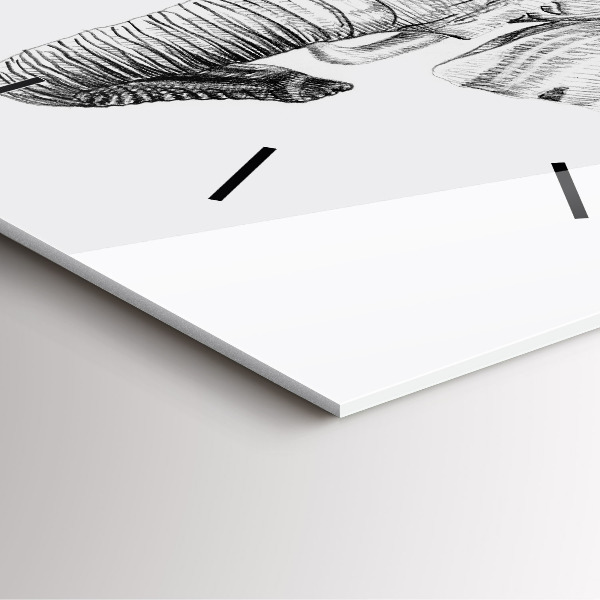 Čtvercové nástěnné hodiny Grafická hlava slona