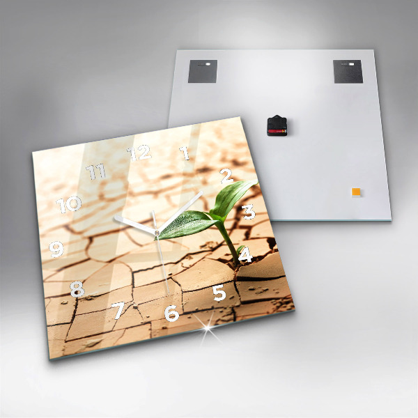Skleněné hodiny čtvercové Rostlina v suché zemi