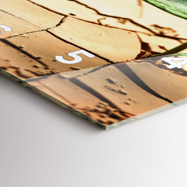 Skleněné hodiny čtvercové Rostlina v suché zemi