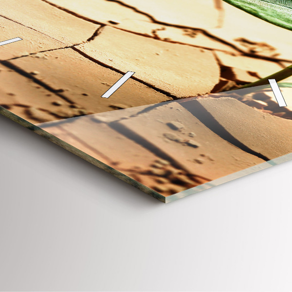 Skleněné hodiny čtvercové Rostlina v suché zemi