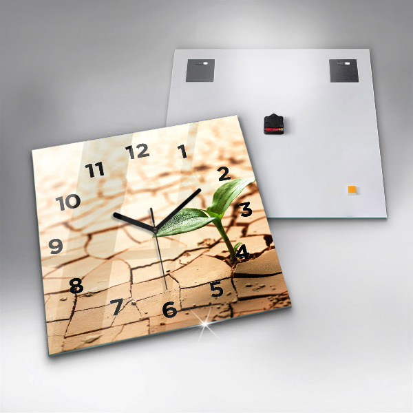 Skleněné hodiny čtvercové Rostlina v suché zemi
