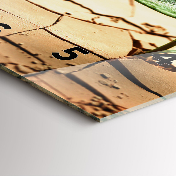 Skleněné hodiny čtvercové Rostlina v suché zemi