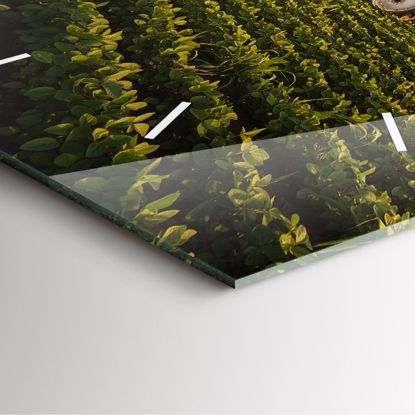 Čtvercové nástěnné hodiny Traktor na zemědělském poli