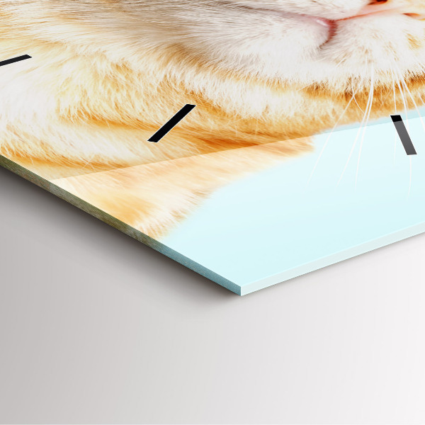 Skleněné hodiny čtvercové Legrační kočka s brýlemi