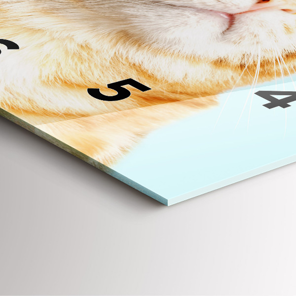 Skleněné hodiny čtvercové Legrační kočka s brýlemi