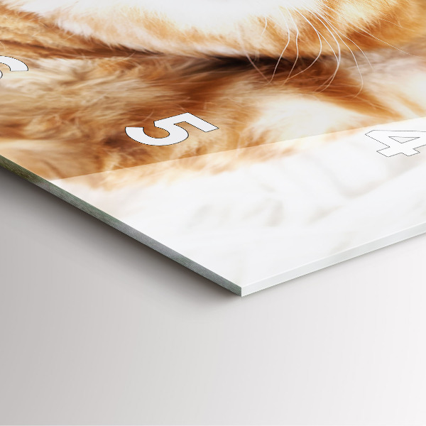 Skleněné hodiny čtvercové Spící kočička