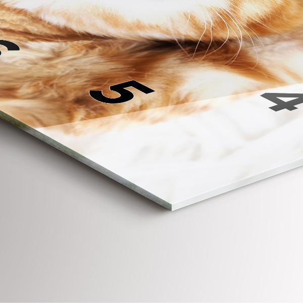 Skleněné hodiny čtvercové Spící kočička