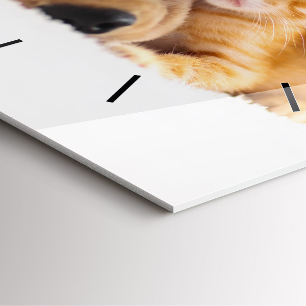 Skleněné hodiny čtvercové Spící kočka a pes