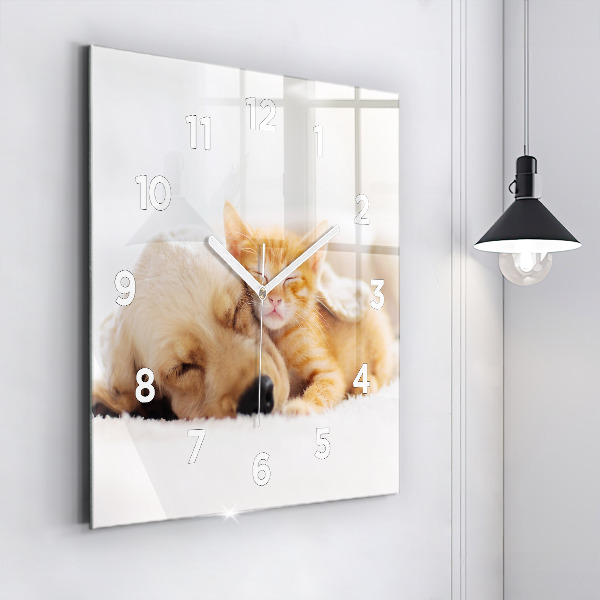 Skleněné hodiny čtvercové Spící kočka a pes