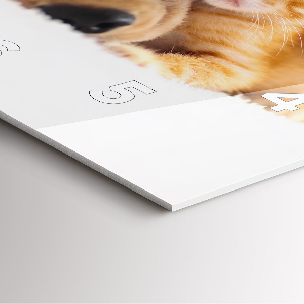 Skleněné hodiny čtvercové Spící kočka a pes