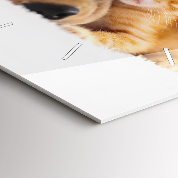 Skleněné hodiny čtvercové Spící kočka a pes