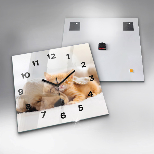 Skleněné hodiny čtvercové Spící kočka a pes