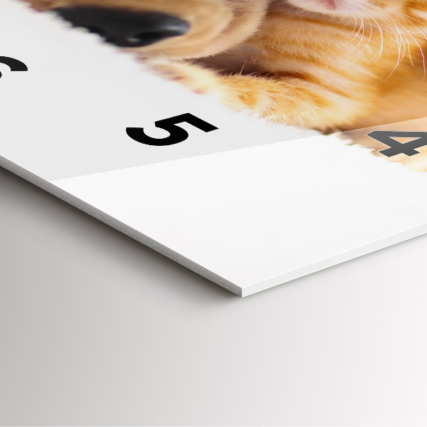 Skleněné hodiny čtvercové Spící kočka a pes