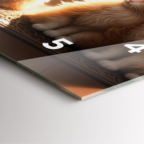 Čtvercové nástěnné hodiny Čtyři kočky na slunci