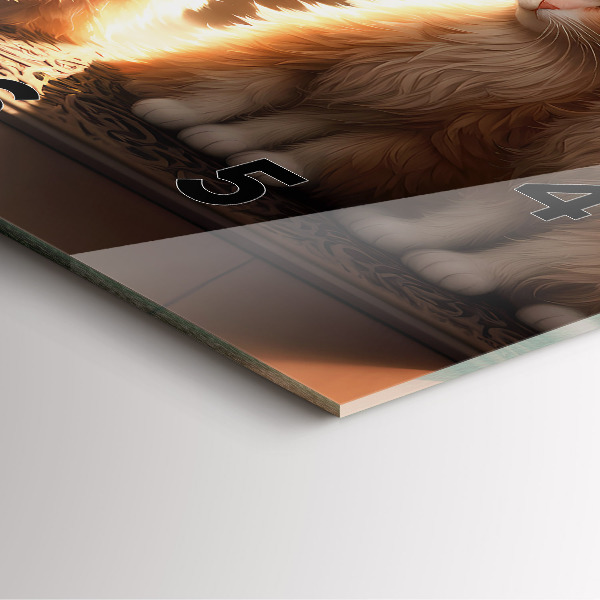 Čtvercové nástěnné hodiny Čtyři kočky na slunci