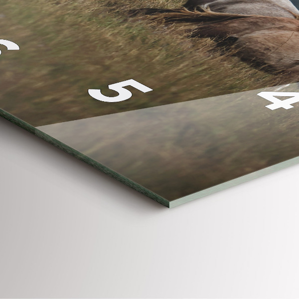 Čtvercové nástěnné hodiny Koně ve cvalu