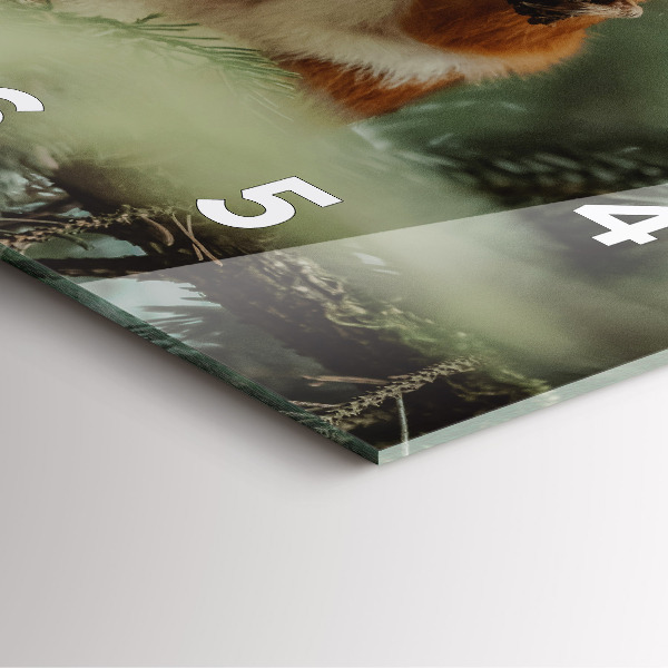 Čtvercové nástěnné hodiny Veverka a divoká zvěř