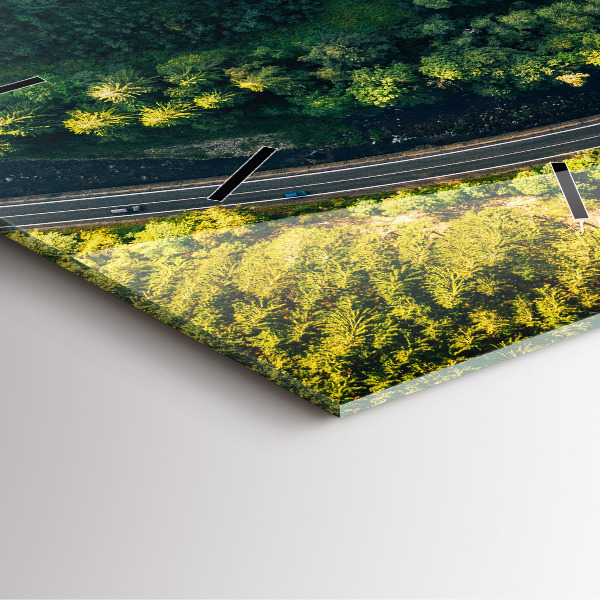 Čtvercové nástěnné hodiny Les z ptačí perspektivy