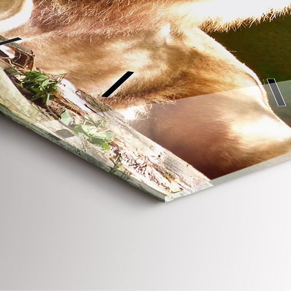 Čtvercové nástěnné hodiny Portrét lva