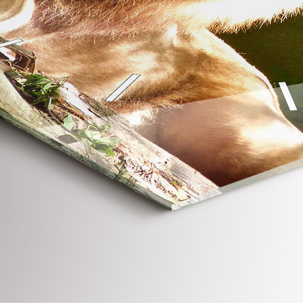 Čtvercové nástěnné hodiny Portrét lva