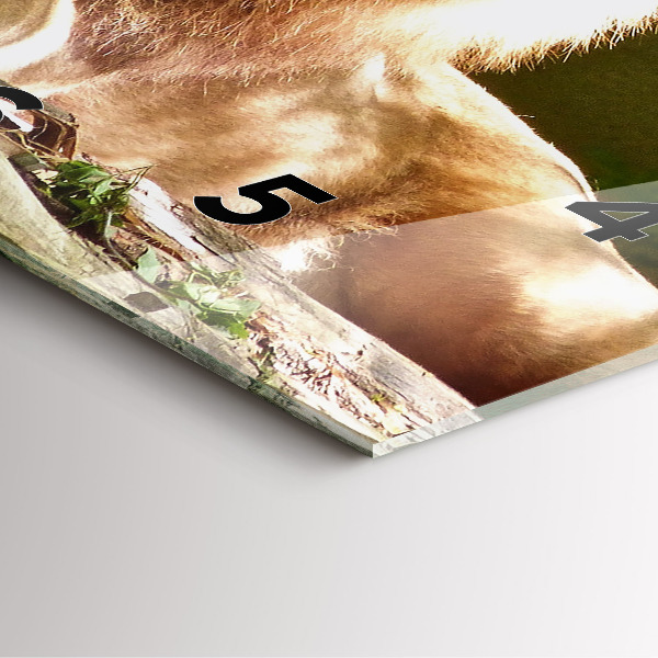 Čtvercové nástěnné hodiny Portrét lva