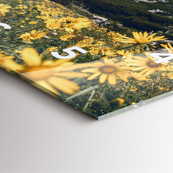 Čtvercové nástěnné hodiny Květinová louka v horách