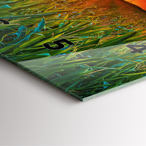 Čtvercové nástěnné hodiny Slunečnice na louce