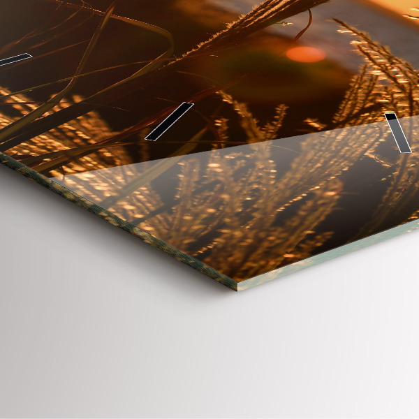 Čtvercové nástěnné hodiny Pšenice ve zlatém slunci