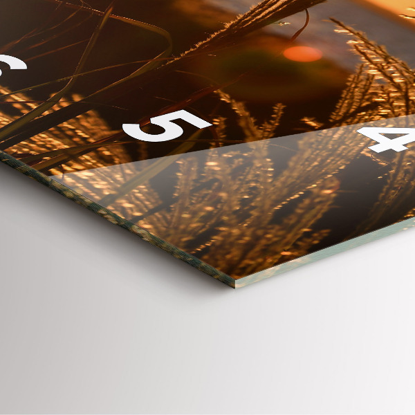 Čtvercové nástěnné hodiny Pšenice ve zlatém slunci