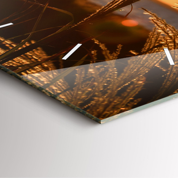 Čtvercové nástěnné hodiny Pšenice ve zlatém slunci