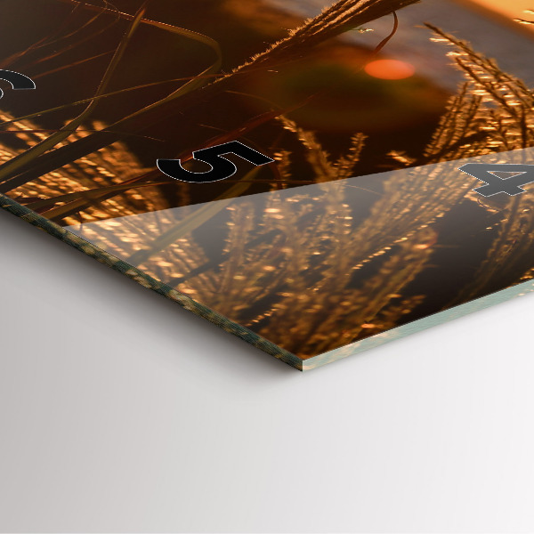 Čtvercové nástěnné hodiny Pšenice ve zlatém slunci