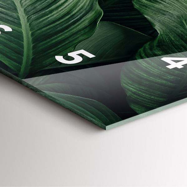 Čtvercové nástěnné hodiny Tropická monstera