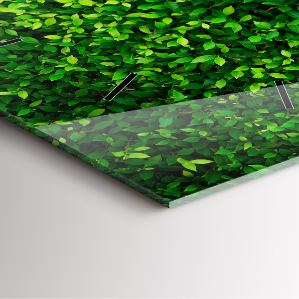 Skleněné hodiny čtvercové Listy živého plotu